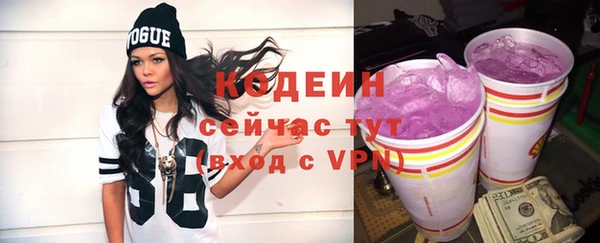 прущий лед Абаза