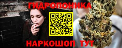 крисы Краснокаменск