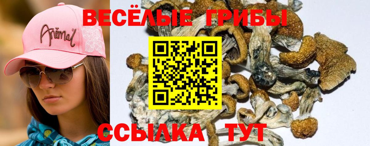 Псилоцибиновые грибы мицелий  Галлюциногенные грибы MAGIC MUSHROOMS  Вход с VPN  Елизово 